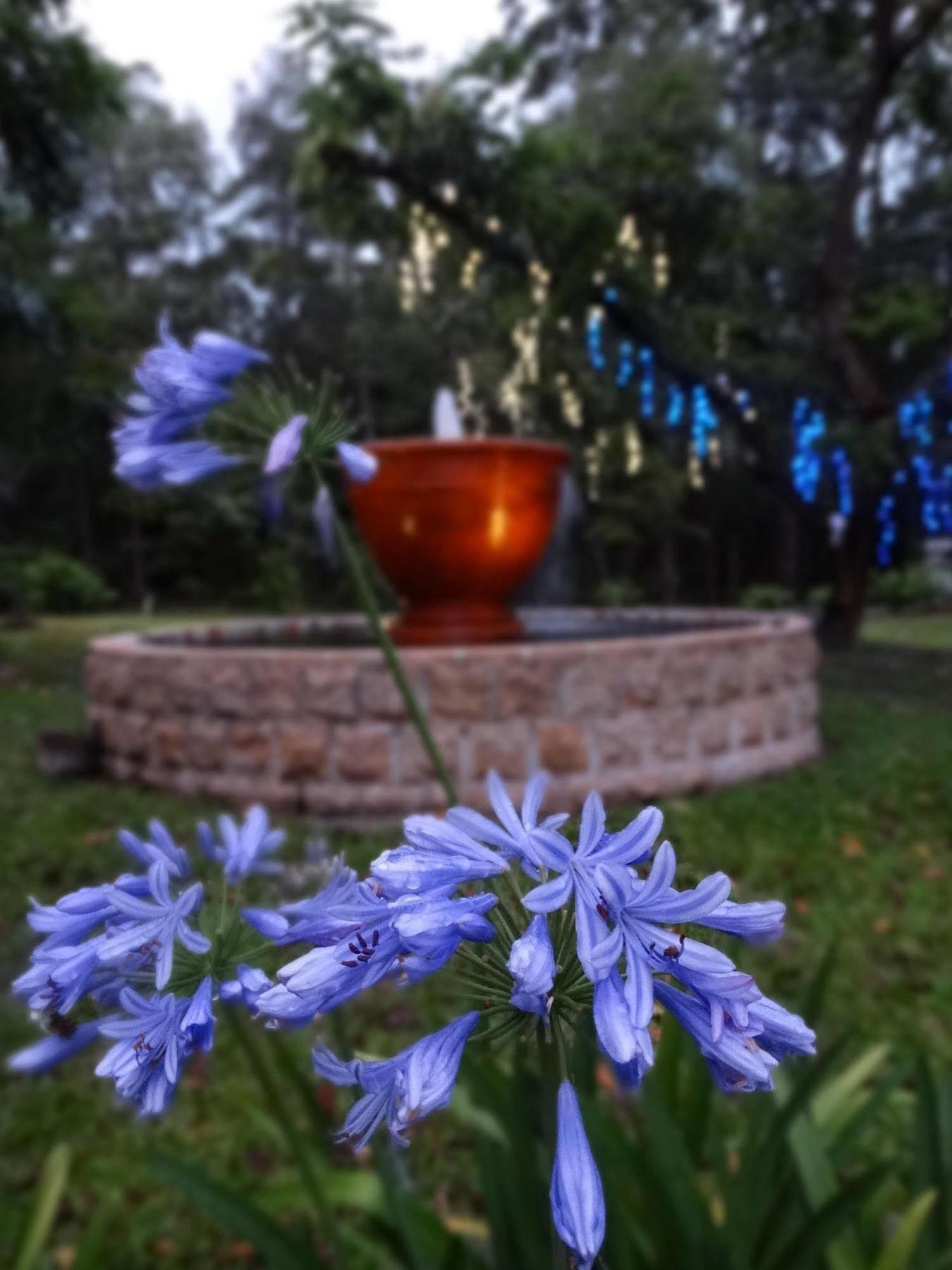 Doonan Noosa Valley Manor B&B المظهر الخارجي الصورة